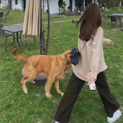 风尘三怪